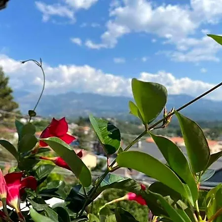 Hotel Pino Loricato
