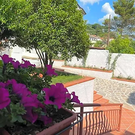 Hotel Pino Loricato 3*